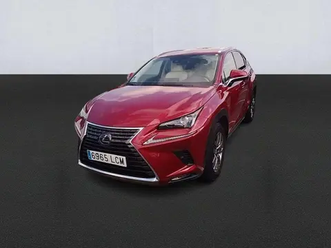 Annonce LEXUS NX Hybride 2019 d'occasion 