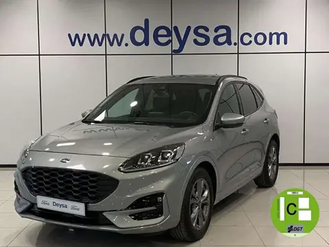 Used FORD KUGA Diesel 2022 Ad 