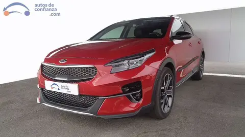 Used KIA XCEED Petrol 2019 Ad 