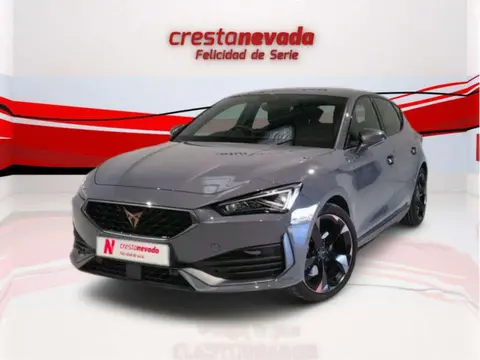 Annonce CUPRA LEON Essence 2024 d'occasion 