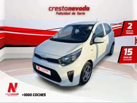 Annonce KIA PICANTO Essence 2023 d'occasion 