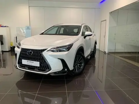 Annonce LEXUS NX Hybride 2024 d'occasion 