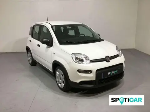 Annonce FIAT PANDA Hybride 2024 d'occasion 