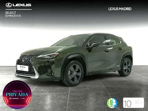 Annonce LEXUS UX Hybride 2020 d'occasion 