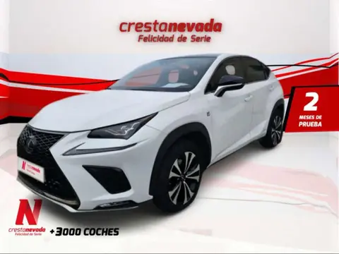 Used LEXUS NX Hybrid 2019 Ad 