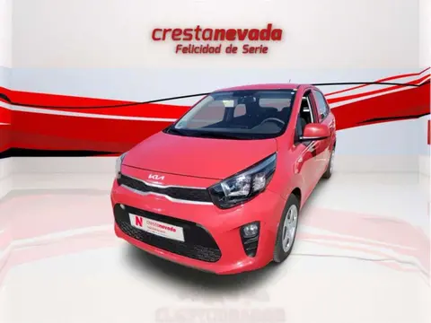 Used KIA PICANTO Petrol 2022 Ad 