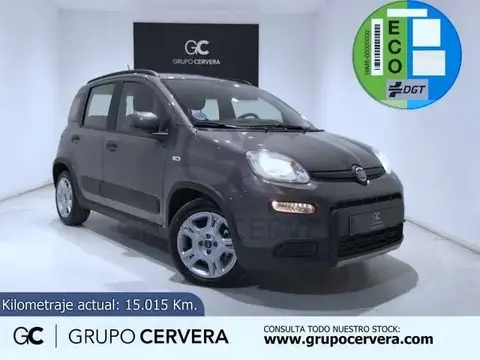 Annonce FIAT PANDA Essence 2022 d'occasion 