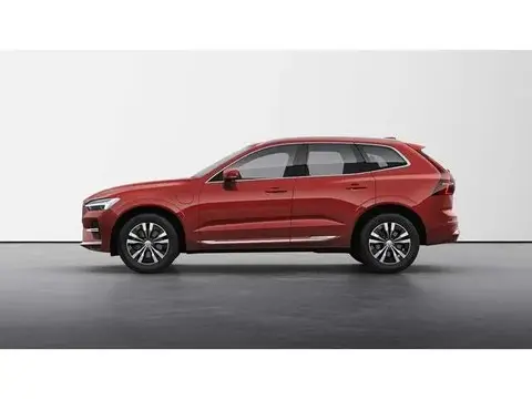 Used VOLVO XC60 Hybrid 2024 Ad 