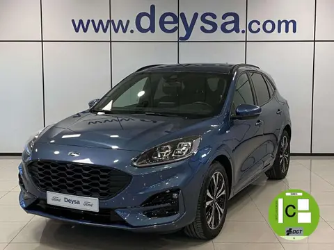 Used FORD KUGA Petrol 2022 Ad 