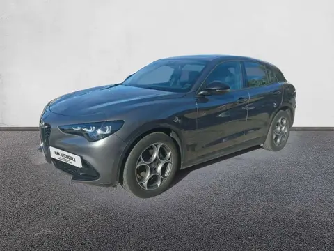 Used ALFA ROMEO STELVIO Diesel 2023 Ad 