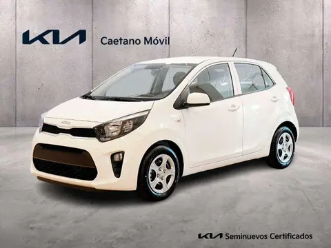 Used KIA PICANTO Petrol 2022 Ad 