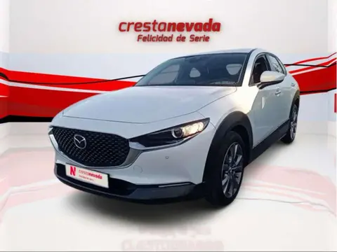 Used MAZDA CX-30 Petrol 2020 Ad 