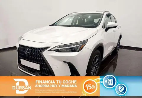 Annonce LEXUS NX Hybride 2023 d'occasion 