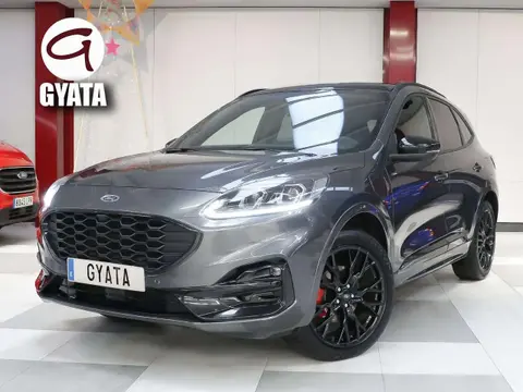 Annonce FORD KUGA  2024 d'occasion 