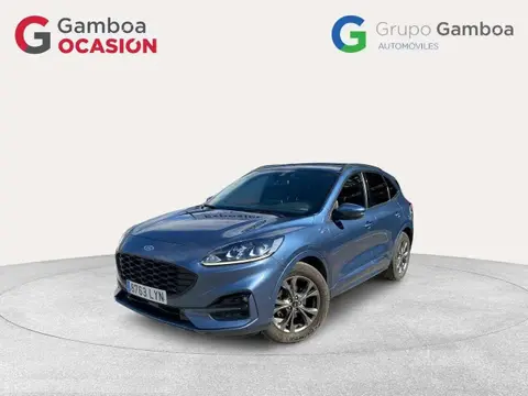 Annonce FORD KUGA Diesel 2022 d'occasion 