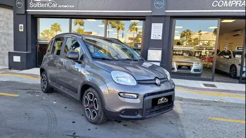 Annonce FIAT PANDA Essence 2022 d'occasion 