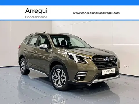 Used SUBARU FORESTER Hybrid 2023 Ad 