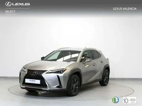 Used LEXUS UX Hybrid 2023 Ad 