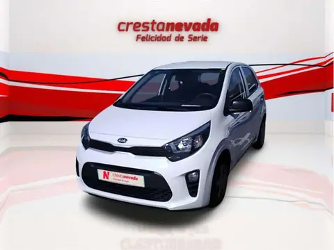 Used KIA PICANTO Petrol 2019 Ad 