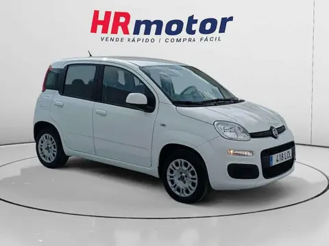 Used FIAT PANDA Petrol 2019 Ad 