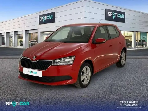 Annonce SKODA FABIA Essence 2019 d'occasion 