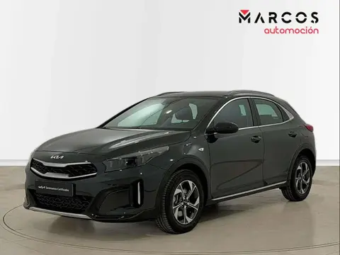 Used KIA XCEED Petrol 2023 Ad 