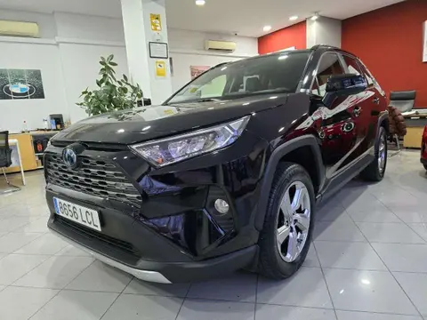 Used TOYOTA RAV4 Hybrid 2019 Ad 