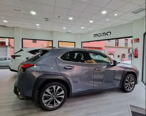 Annonce LEXUS UX Hybride 2022 d'occasion 