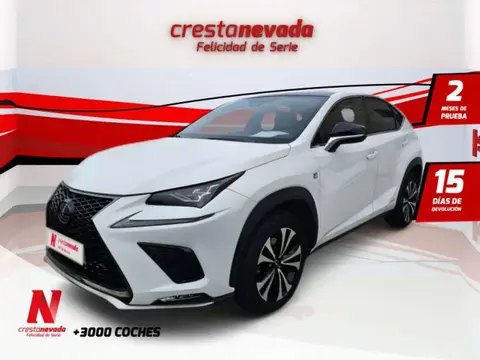 Annonce LEXUS NX Hybride 2019 d'occasion 