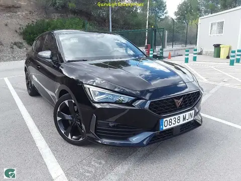 Used CUPRA LEON Petrol 2023 Ad 