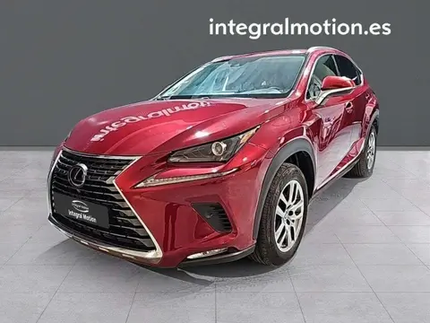 Used LEXUS NX Hybrid 2020 Ad 