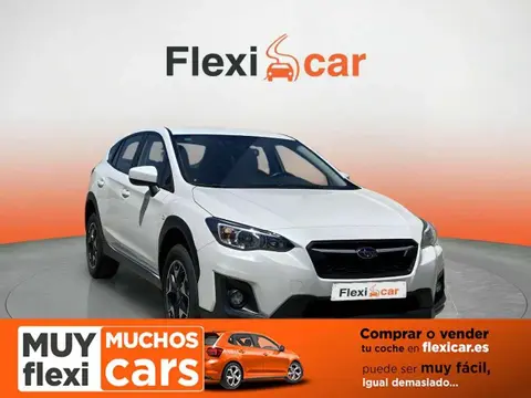 Used SUBARU XV Petrol 2019 Ad 