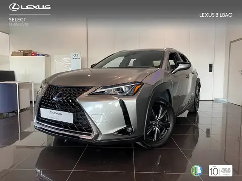 Used LEXUS UX  2020 Ad 