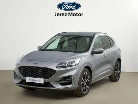 Annonce FORD KUGA Hybride 2022 d'occasion 