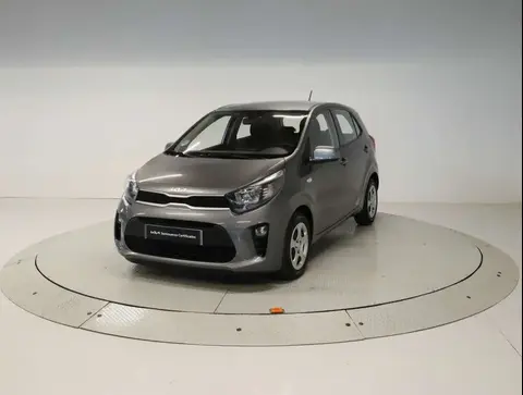 Used KIA PICANTO Petrol 2023 Ad 