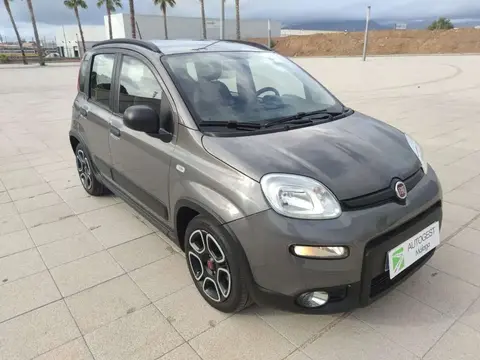 Used FIAT PANDA Petrol 2022 Ad 