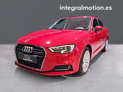 Used AUDI A3 Diesel 2019 Ad 