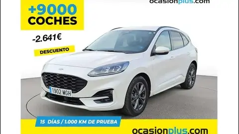 Annonce FORD KUGA Hybride 2023 d'occasion 