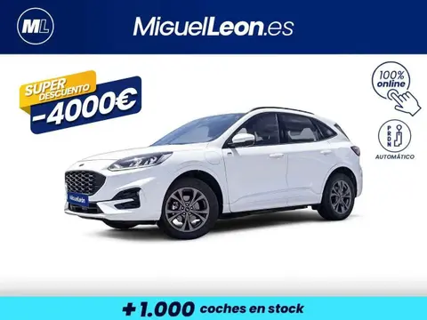 Used FORD KUGA Electric 2023 Ad 