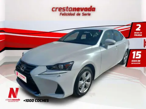 Used LEXUS IS Hybrid 2019 Ad 