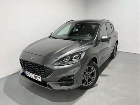 Used FORD KUGA Electric 2023 Ad 