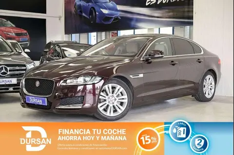 Annonce JAGUAR XF Diesel 2016 d'occasion 