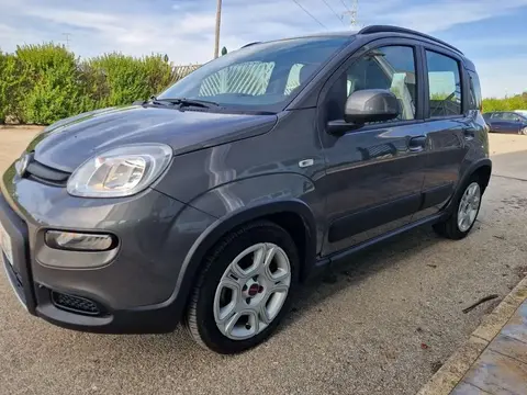 Used FIAT PANDA Petrol 2022 Ad 