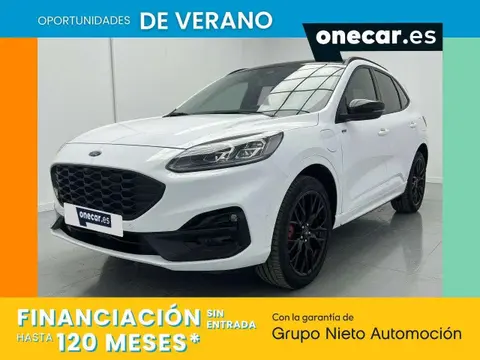 Annonce FORD KUGA  2023 d'occasion 