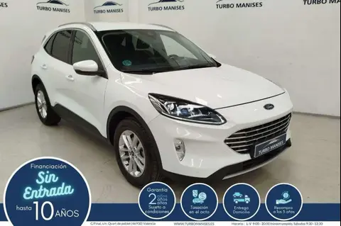 Annonce FORD KUGA Diesel 2023 d'occasion 