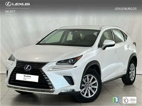 Annonce LEXUS NX Hybride 2018 d'occasion 