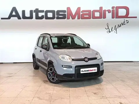 Annonce FIAT PANDA Essence 2021 d'occasion 