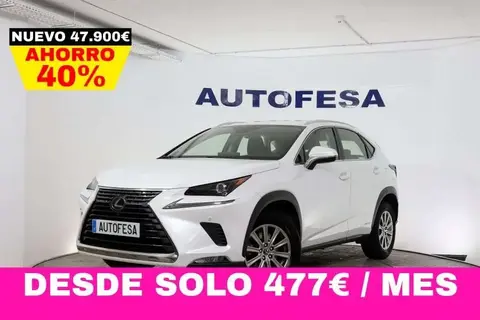 Used LEXUS NX  2020 Ad 