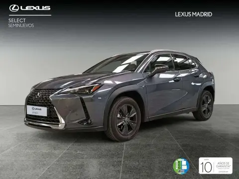 Annonce LEXUS UX Hybride 2024 d'occasion 