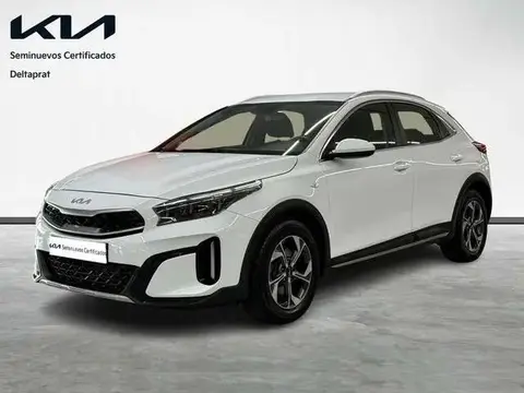 Annonce KIA XCEED Essence 2024 d'occasion 